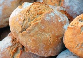 Молодь надає сенсу та дій продовольчій справедливості. Ватикан: zoom-конференція