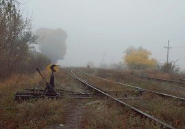ЧЕТВЕР – ДЕНЬ МОЛИТВИ ЗА ПОКЛИКАННЯ. Яка з відкритих перед тобою доріг твоя?