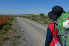 Каміно встановив рекорд: кількість паломників перевищила півмільйона