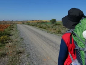 Каміно встановив рекорд: кількість паломників перевищила півмільйона