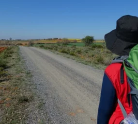 Каміно встановив рекорд: кількість паломників перевищила півмільйона