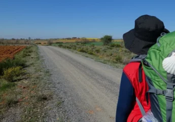 Каміно встановив рекорд: кількість паломників перевищила півмільйона