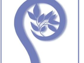 о. Юстин Копитко OFM Дипломна робота з молодіжного душпастирства “Молодіжне душпастирство та духовний супровід молоді. Перспективи для Римо-католицької церкви в Україні”.