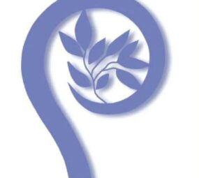 о. Юстин Копитко OFM Дипломна робота з молодіжного душпастирства “Молодіжне душпастирство та духовний супровід молоді. Перспективи для Римо-католицької церкви в Україні”.