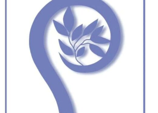 о. Юстин Копитко OFM Дипломна робота з молодіжного душпастирства “Молодіжне душпастирство та духовний супровід молоді. Перспективи для Римо-католицької церкви в Україні”.